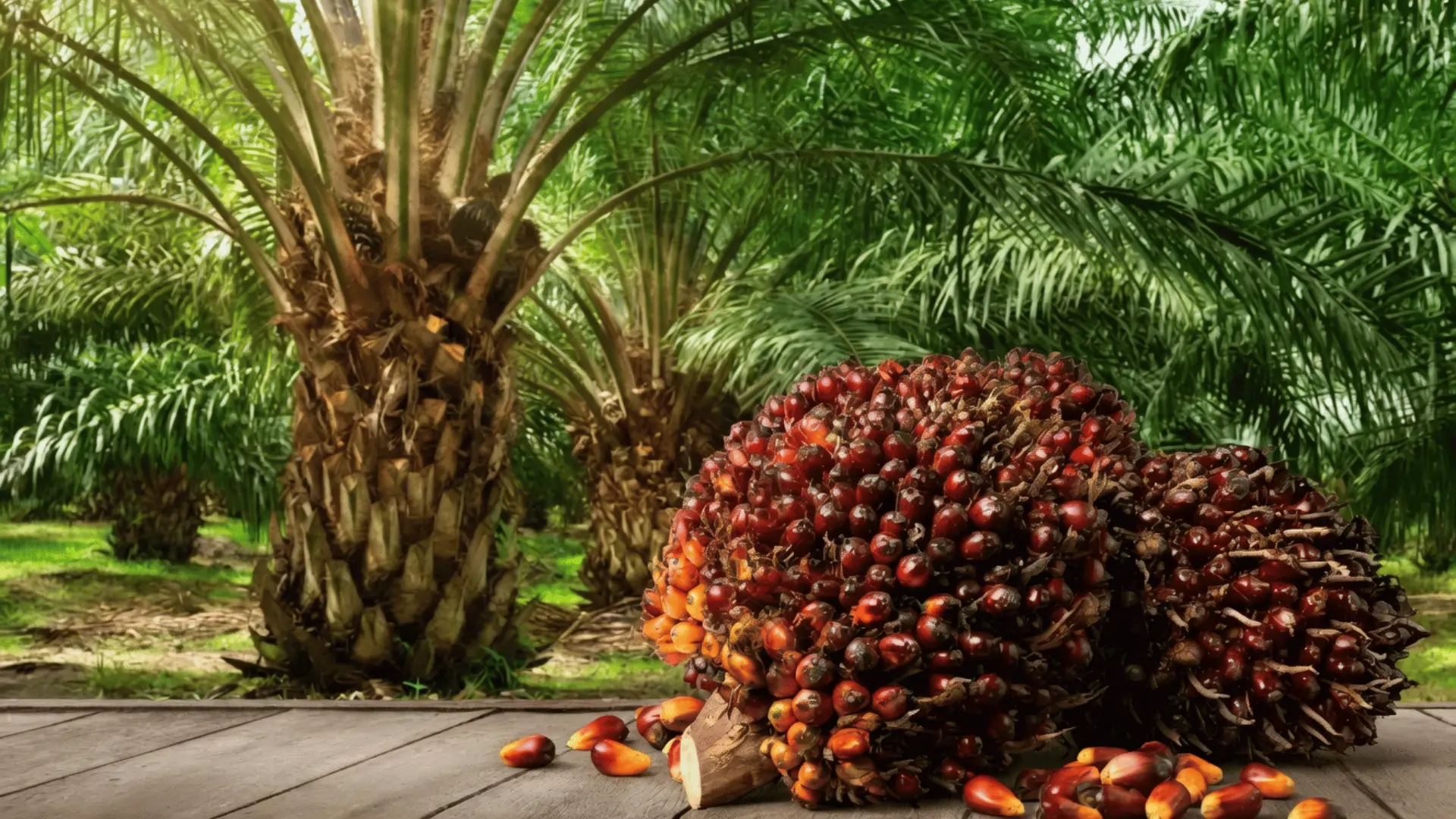 Building Africa’s Intelligent Agro-Infrastructure Future